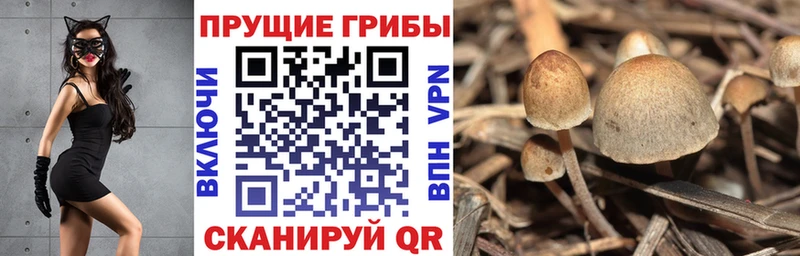 Купить  Дальнереченск  Галлюциногенные грибы мухоморы 